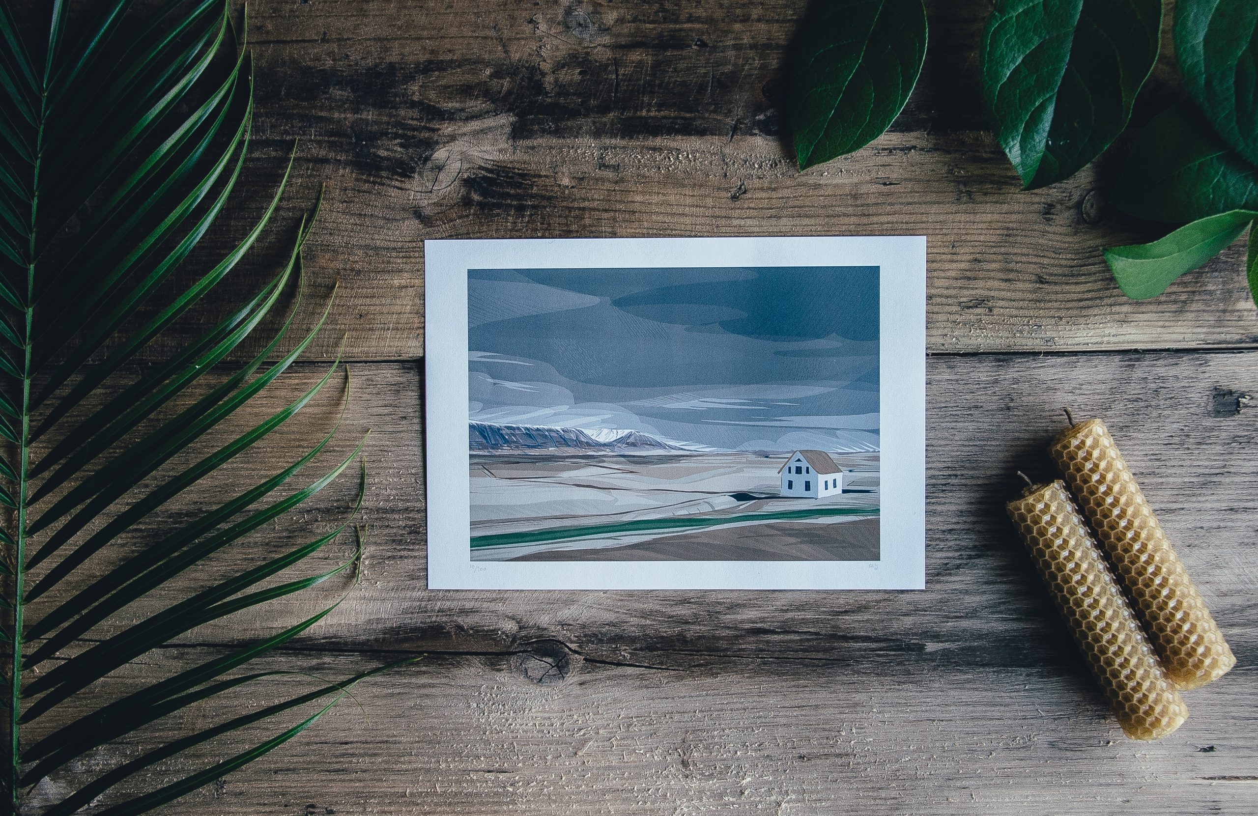 What makes a great photo for large photographic printing