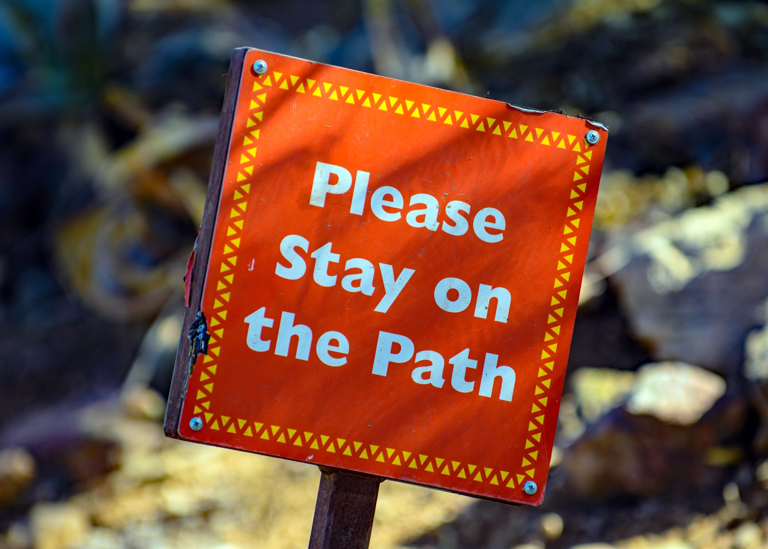 Why You Need to Create Custom Signs