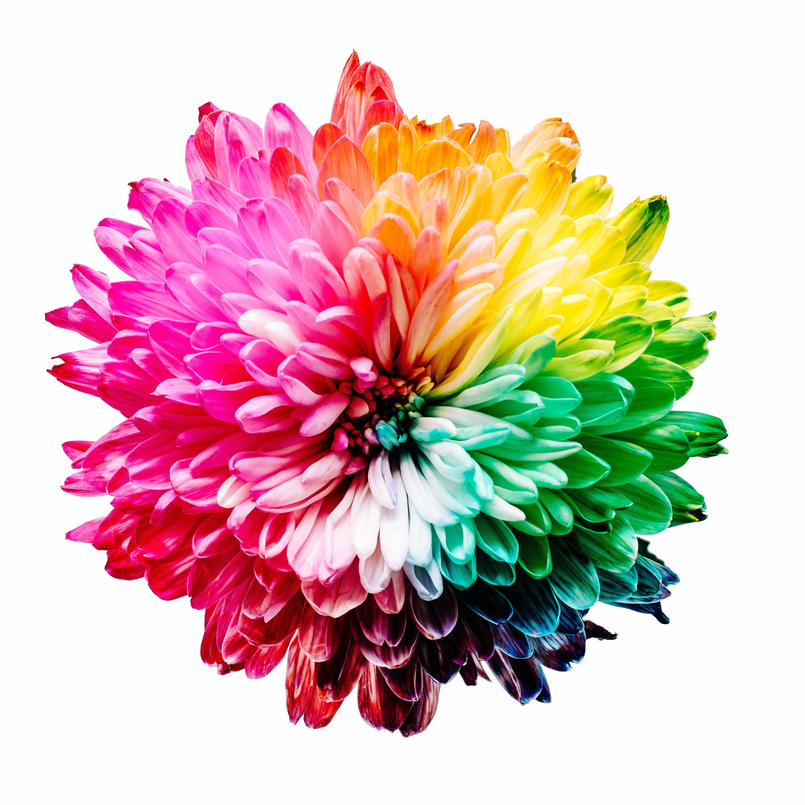 Our Color Copying Services Save You Money