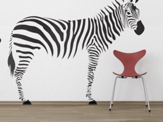 What Are Custom Window Graphics and Why Should I Invest in Them?