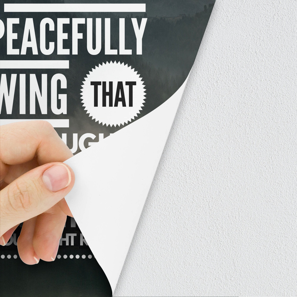 Low Tac Adhesive Vinyl